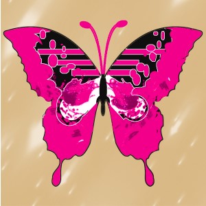 butterflies: 1693