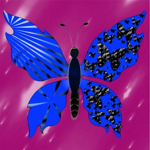 butterflies: 229