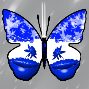 butterflies: 371