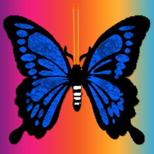 butterflies: 1388