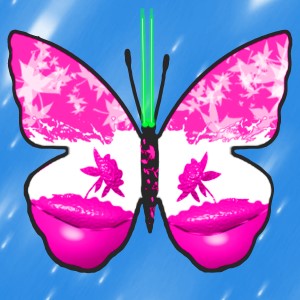 butterflies: 2200