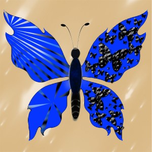 butterflies: 1681