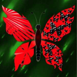 butterflies: 1685