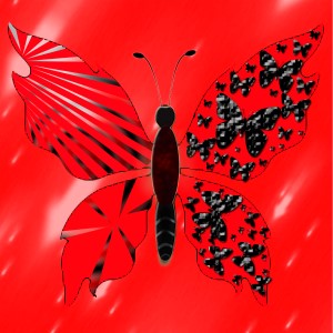 butterflies: 717