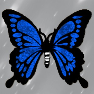 butterflies: 225