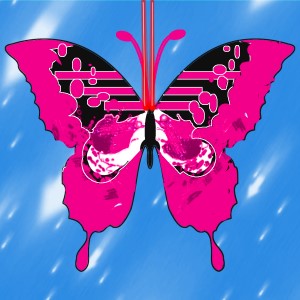 butterflies: 591