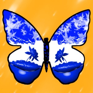 butterflies: 1624