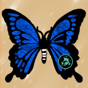 butterflies: 985
