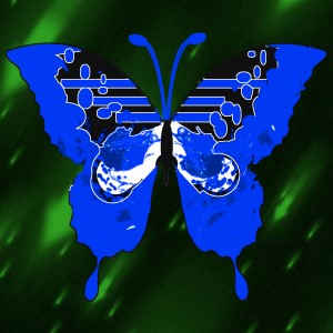 butterflies: 1555
