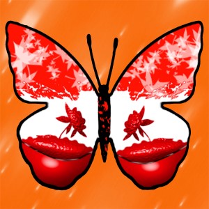 butterflies: 524