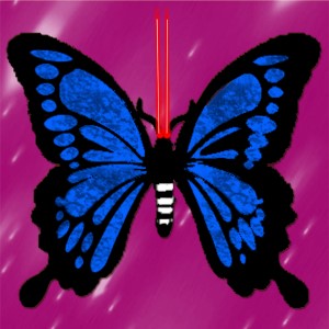 butterflies: 497