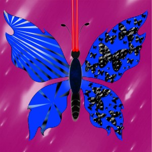 butterflies: 173