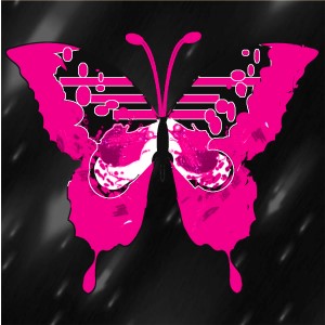 butterflies: 710