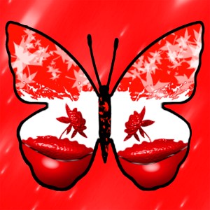 butterflies: 1694
