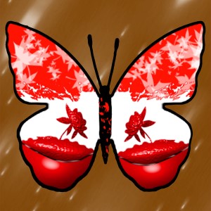 butterflies: 169