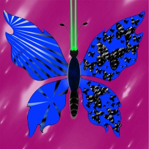 butterflies: 2203