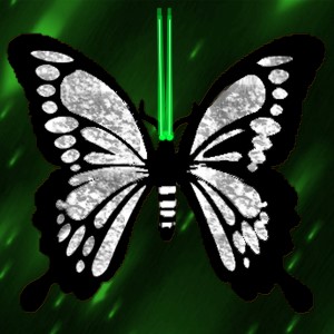 butterflies: 913