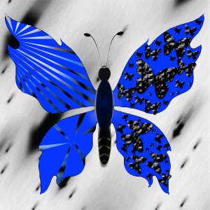 butterflies: 2138