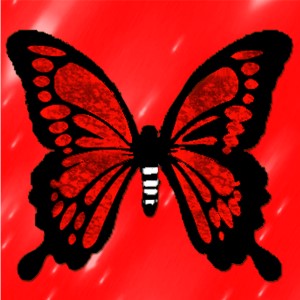 butterflies: 1509