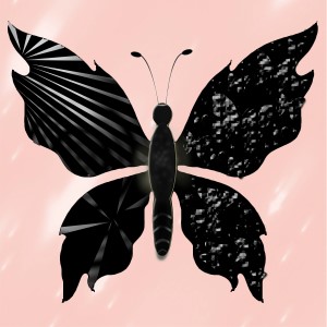 butterflies: 47