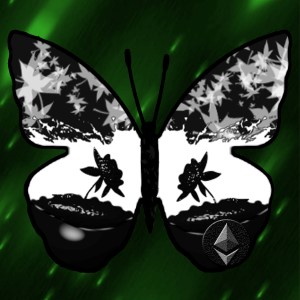 butterflies: 917