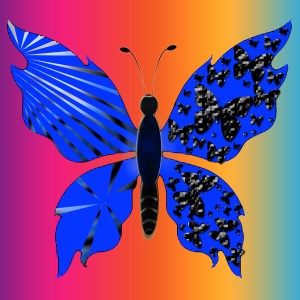 butterflies: 1690