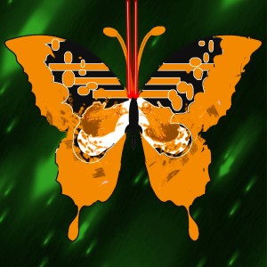 butterflies: 376