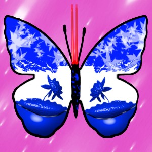 butterflies: 1273