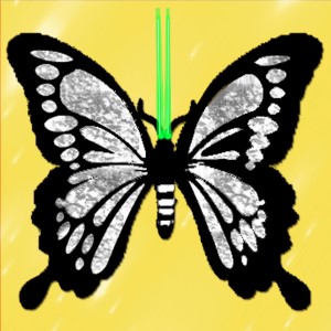 butterflies: 2195