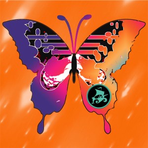 butterflies: 161