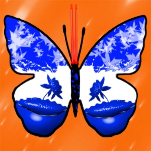 butterflies: 795