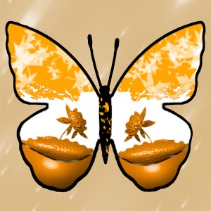 butterflies: 1796
