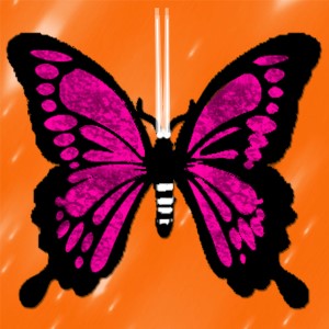 butterflies: 165