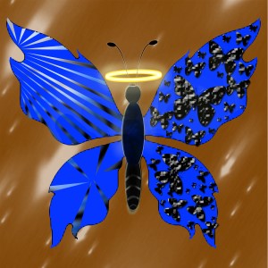butterflies: 1214