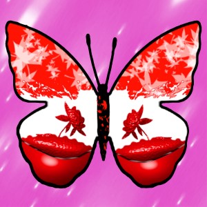 butterflies: 799