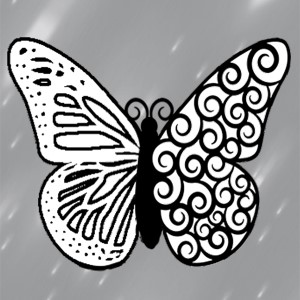 butterflies: 714