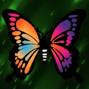 butterflies: 1277