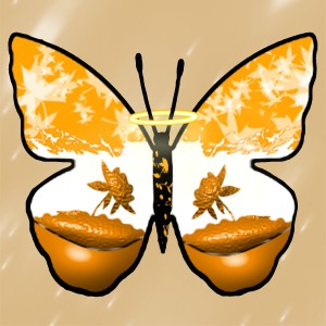 butterflies: 372