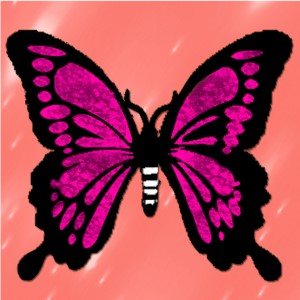 butterflies: 1151