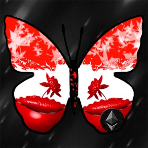 butterflies: 104