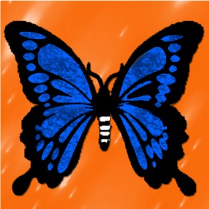 butterflies: 1513