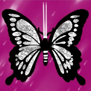 butterflies: 1556