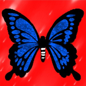 butterflies: 921