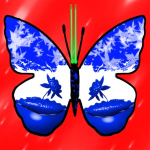 butterflies: 1454