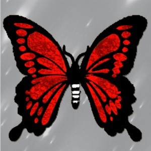 butterflies: 437