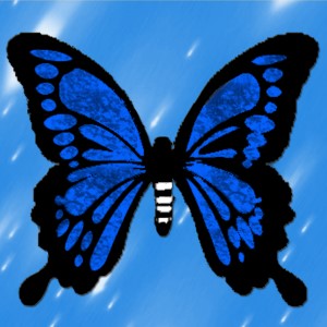 butterflies: 592