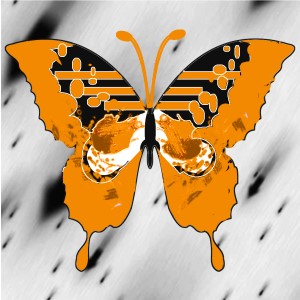 butterflies: 860